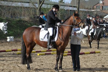 Bild 1382 - WBO-Turnier am 9.4.11